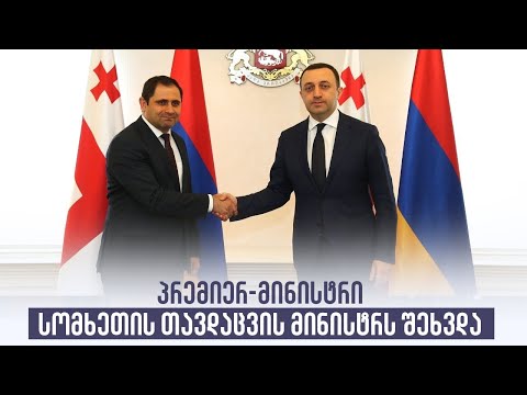 პრემიერ-მინისტრი სომხეთის თავდაცვის მინისტრს შეხვდა